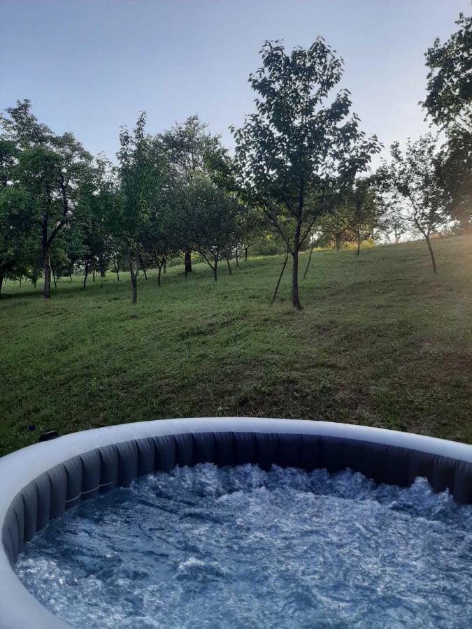 Country House Stoljetna Vila Seona Экстерьер фото