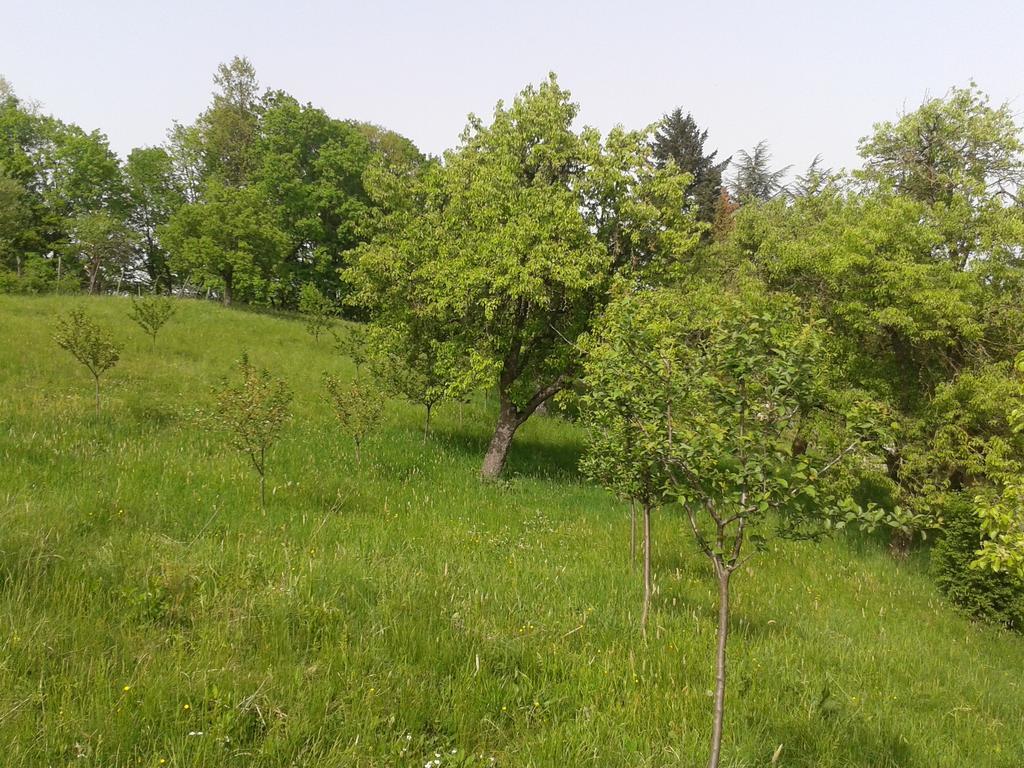 Country House Stoljetna Vila Seona Экстерьер фото