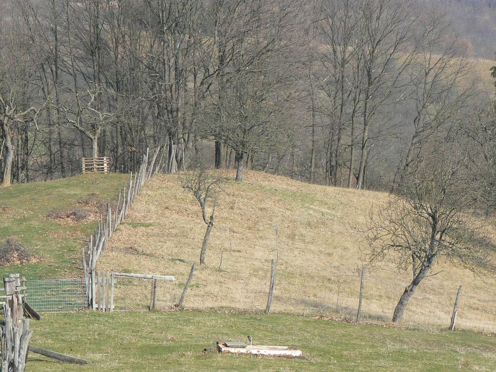 Country House Stoljetna Vila Seona Экстерьер фото