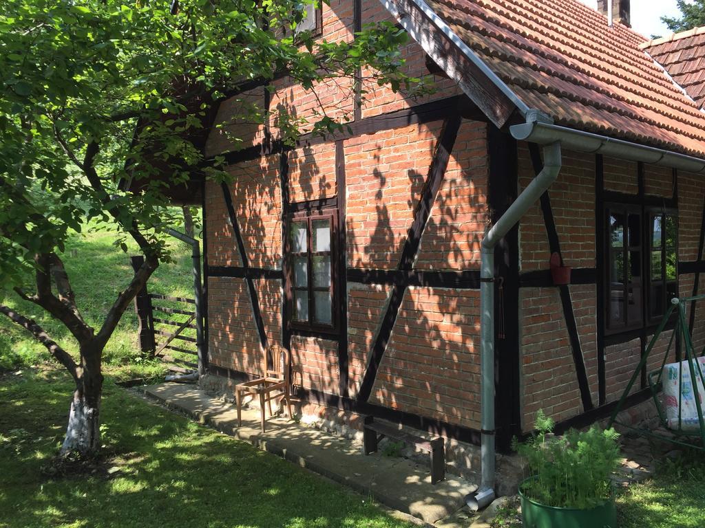Country House Stoljetna Vila Seona Экстерьер фото