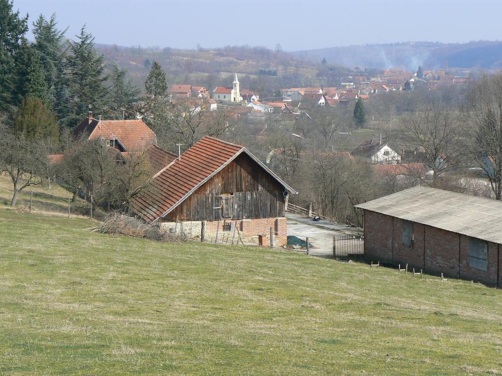 Гостевой дом Country House Stoljetna Vila Seona Экстерьер фото