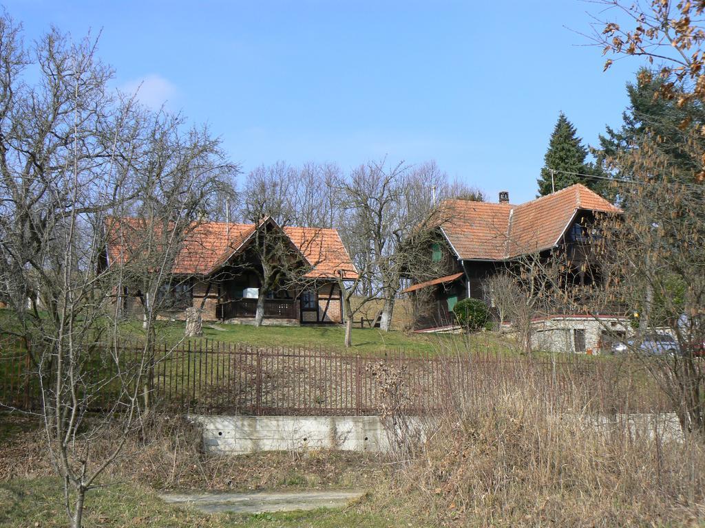 Гостевой дом Country House Stoljetna Vila Seona Экстерьер фото